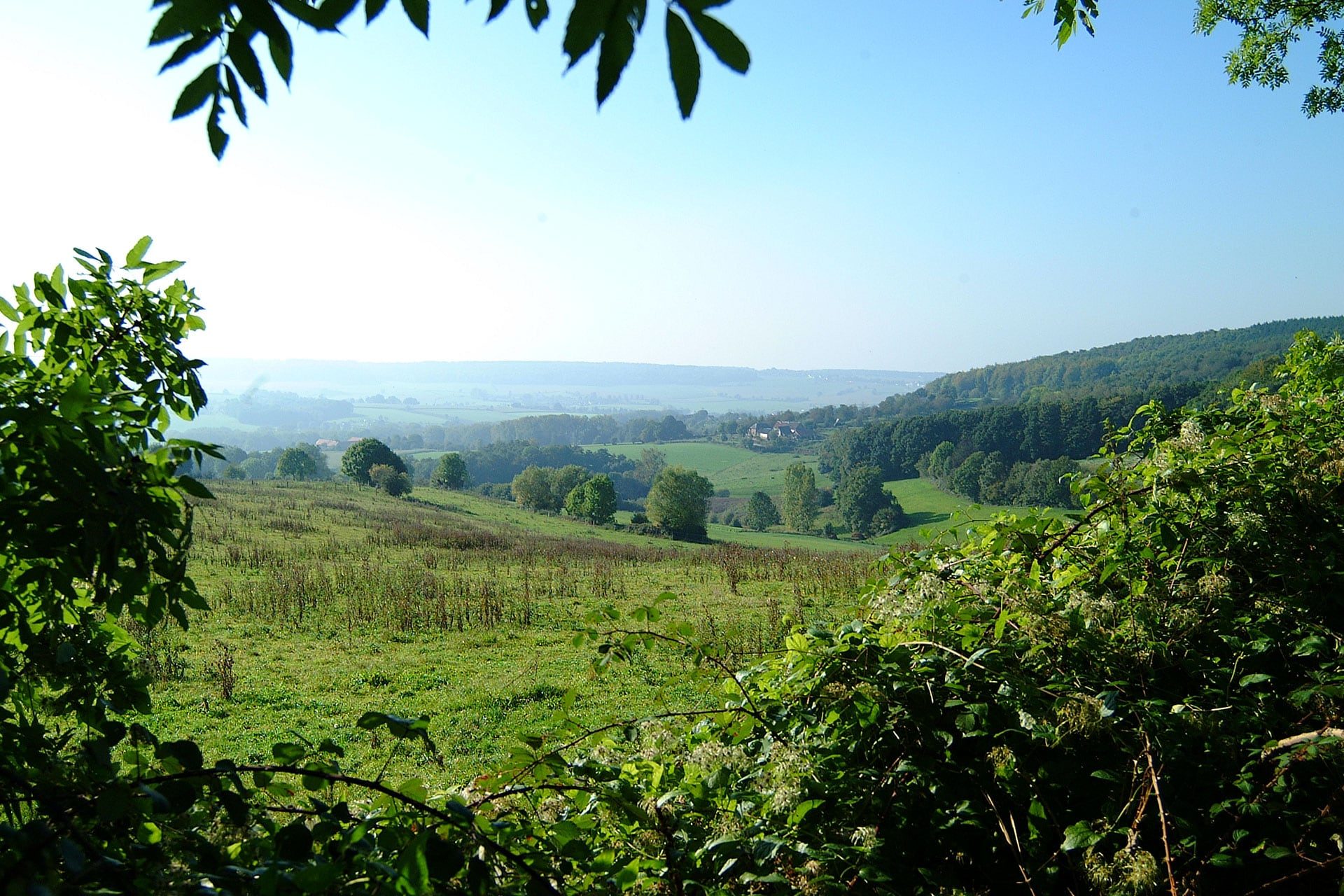 Environs - Limburgia