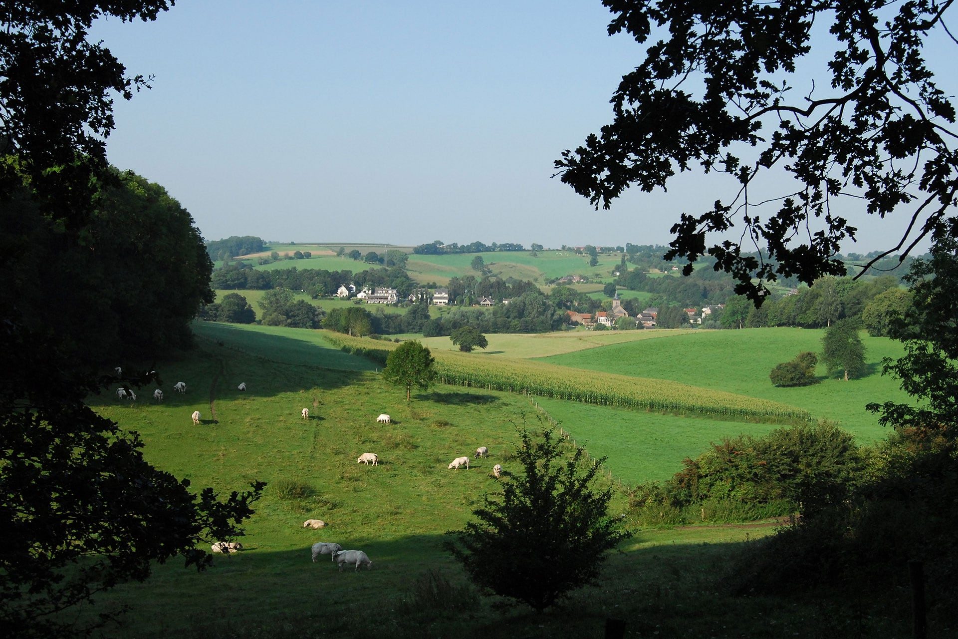 Environs - Limburgia