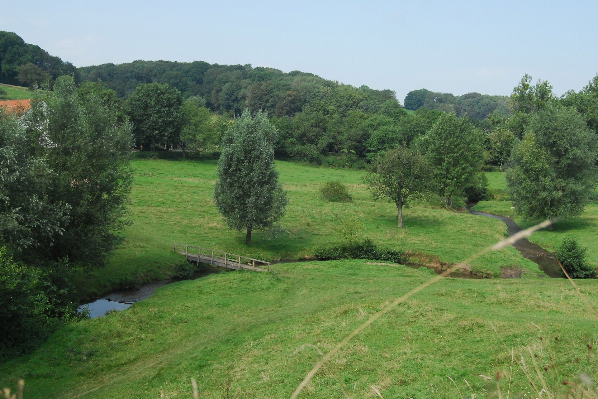 Omgeving - Limburgia